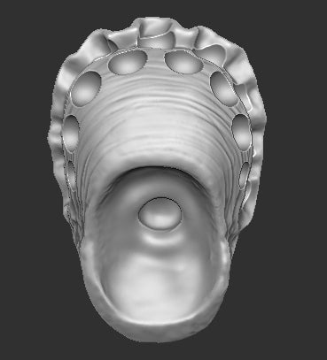 City Hunter Predator Modified Head Scan