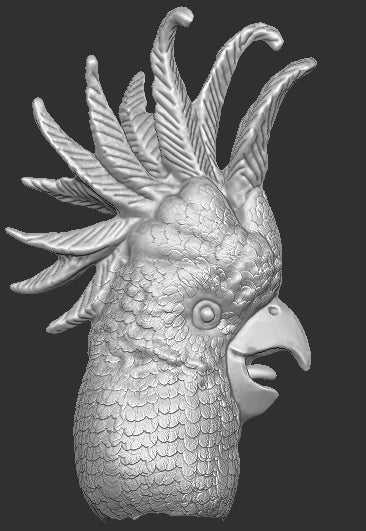 Cockatoo Head for Bird Figure