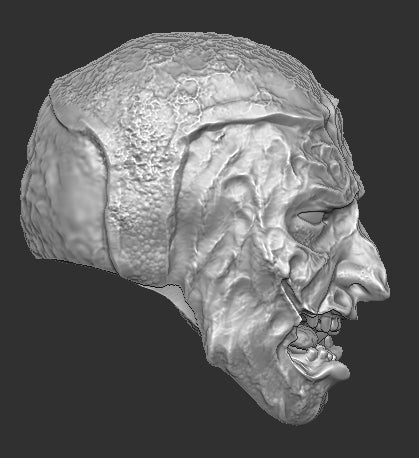 Flesh Gargoyle Elden Ring Head